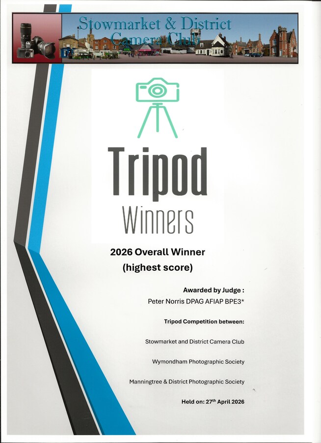 Winners Certificate